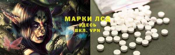 ГАЛЛЮЦИНОГЕННЫЕ ГРИБЫ Инсар