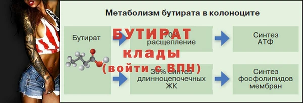 ГАЛЛЮЦИНОГЕННЫЕ ГРИБЫ Инсар
